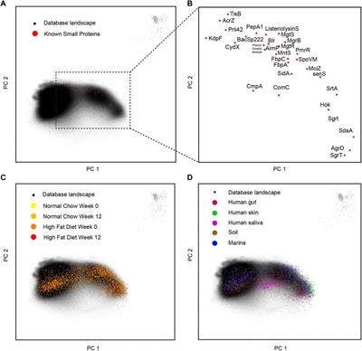 Profiling a Community-Specific Function Landscape for Bacterial Peptides Through Protein-Level Meta-Assembly and Machine Learning